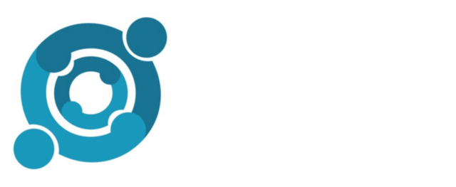 Shadow Capital Partners